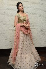 Lavanya Tripathi At Vunnadhi Okate Zindagi Movie Pre Release Function